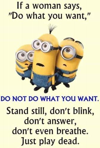FB_IMG_1556974136085
