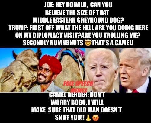 d8d79819-b22c-4edd-8c51-b5da1ee96dac