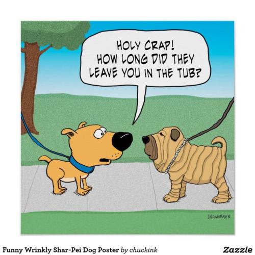 22e550aea5eb115d05a167f1efef8fc0