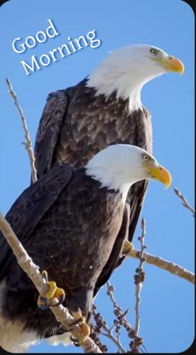 4fda23ba9c64e43f87e8d2c34edf77ec