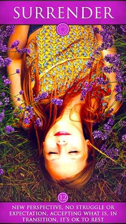 4f5bf2f59116e27da64d1edf9464ab86