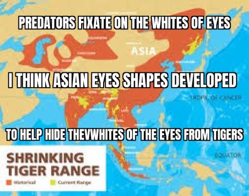 ZomboMeme 31052025005657