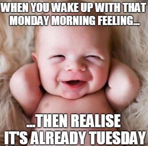 photo_2025-05-06_14-24-28