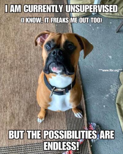 FB_IMG_1746905525423