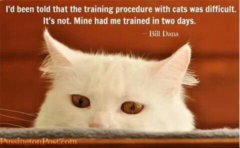 72d549758c73bd75061bf0068990fa38