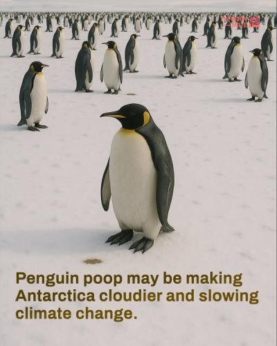 499922040_721039780579618_1378018730670324652_n