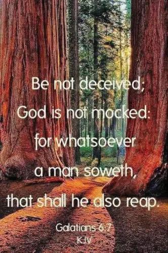 a214bdfb-ab7e-4d6d-a926-34eb30c24714