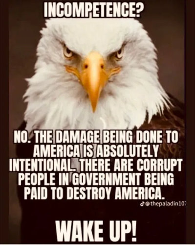 image_2025-05-03_081805699