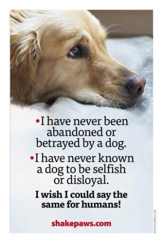 7014394a38d43a44f226a7ec44e5f753