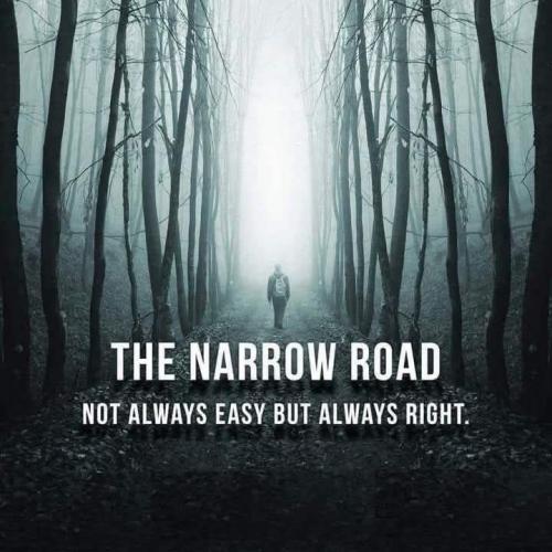 498994881_1277458083740122_6456223507267056251_n