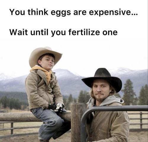 image_2F058C2B-68EC-4450-AFFE-F4E18F3CF6F2