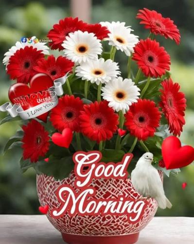 FB_IMG_1748455591510