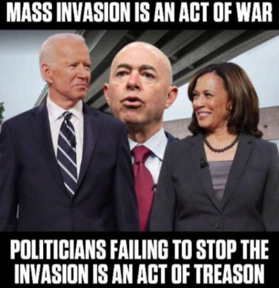 illegal immigration512