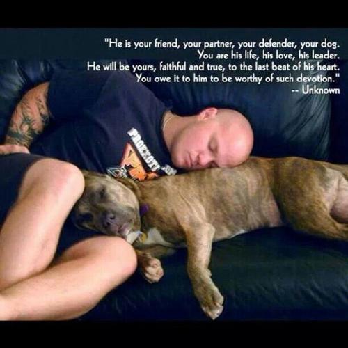 fe76b2290fa66ac2dffbe8ea2fba6273