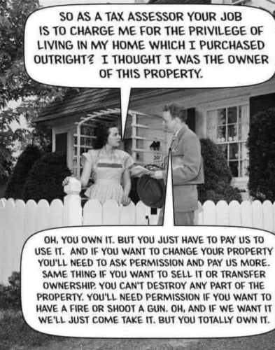 image_2025-05-10_152359256