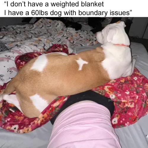 FB_IMG_1747077895646