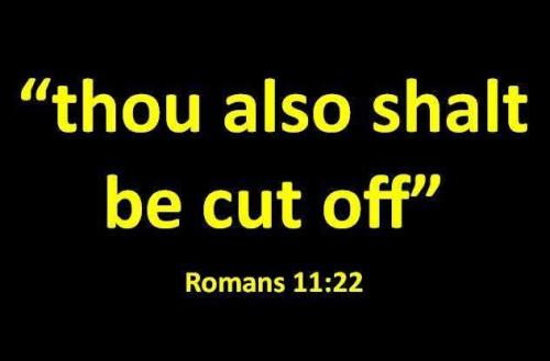 7ae261b5-35fb-4812-9158-c95620c54d75