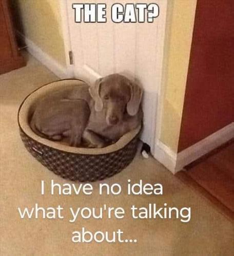 FB_IMG_1748540833122