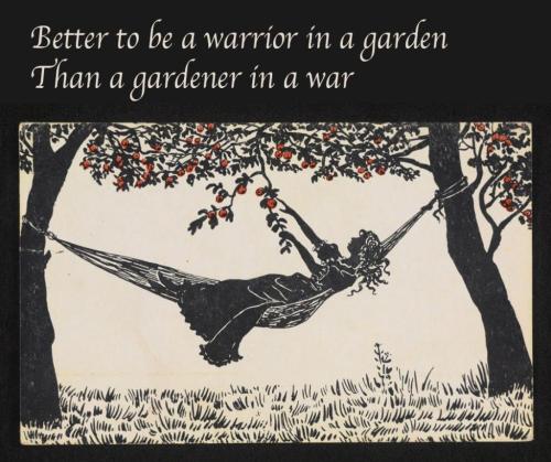 photo_2025-05-17_08-45-20