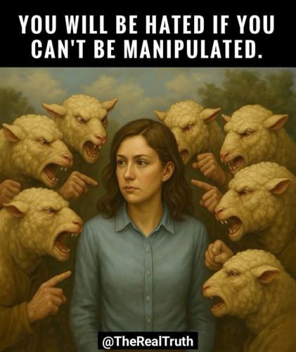 photo_2025-05-11_16-26-48