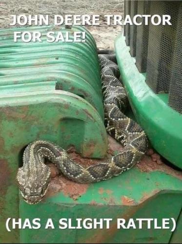 FB_IMG_1747332502870