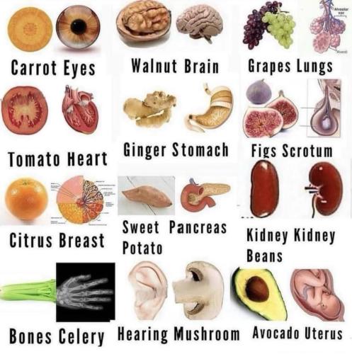 photo_2025-05-24_19-32-21