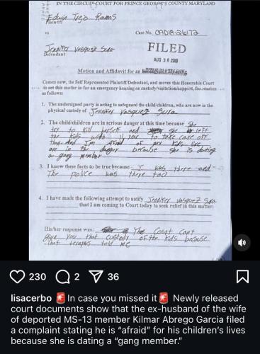 photo_2025-05-01_20-02-54