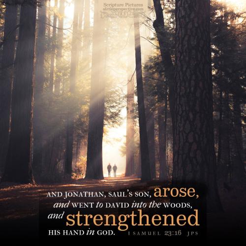 1-sam-23-16-JPS-unsplash