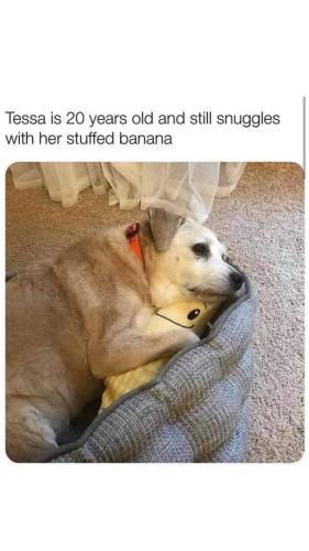 FB_IMG_1748435948699