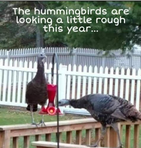 Screenshot_20250519_070354_Gallery