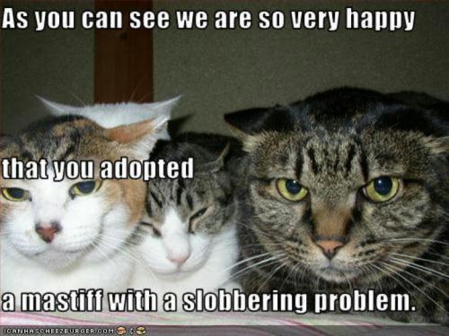 cb2d3bdaf59da40c5271d841d429f8bd