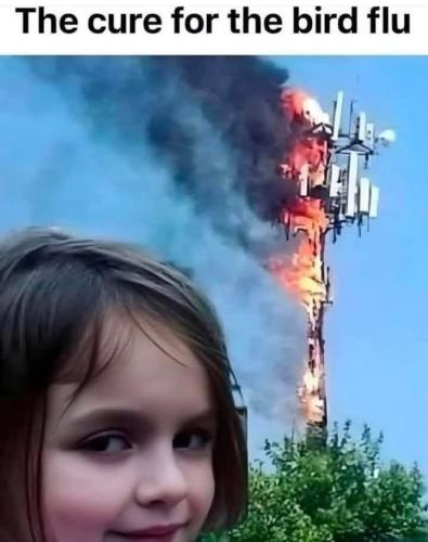 483486771_122115614102718379_6283676910509534769_n