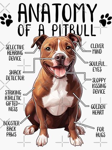 bg,f8f8f8-flat,750x,075,f-pad,750x1000,f8f8f8.u5