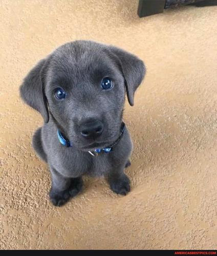 291461cf1fcdc87cce19102571ec6ebfdc98549e83e1e942a35e6417b8c78677_1