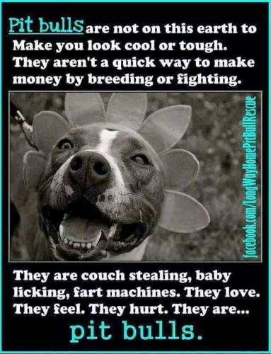 55ae5e36a5930a123c823f77c924dc45