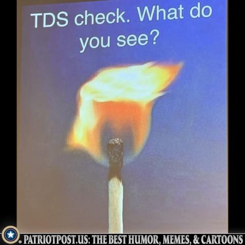 01JW09Q3MKWA379J4S6GPY0TK8