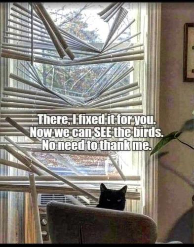 b10a709ac2ef62f25dc0c769b233334a