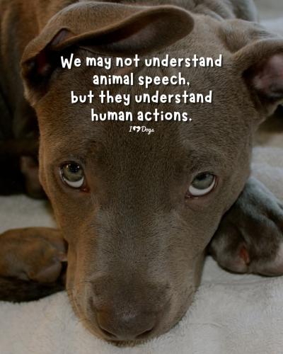 FB_IMG_1746984026298