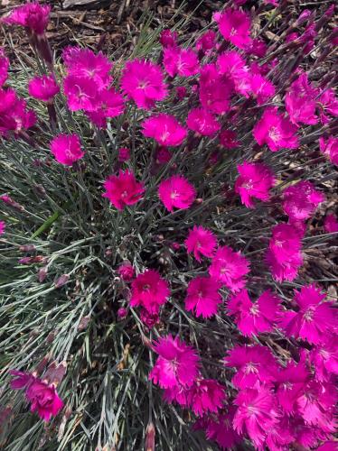 DA77D931-4C25-4869-AA03-5A4DD347F7C1