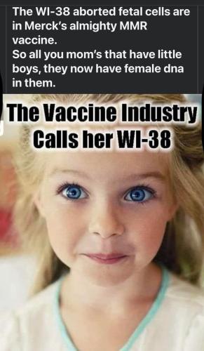 483784381_122116321688718379_8513274442862841029_n