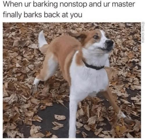 FB_IMG_1746747989301