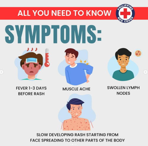 Screenshot 2025-05-30 130437