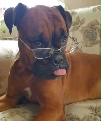 FB_IMG_1747155007129