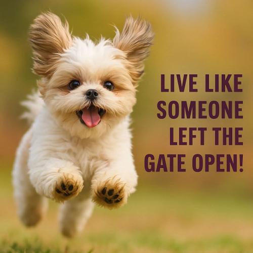 FB_IMG_1747080956777