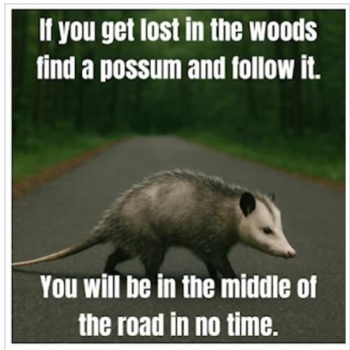 FB_IMG_1746823540632