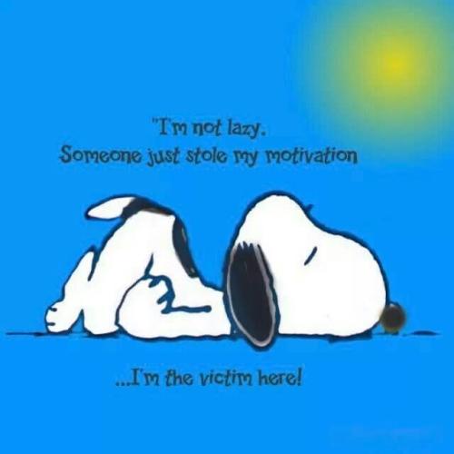 FB_IMG_1747248023127