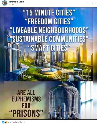 photo_2025-05-10_18-11-52