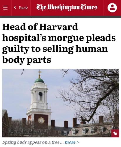 photo_2025-05-25_17-16-43