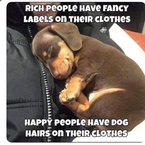 5e791baadb83c17ca796b98434dbfc0b