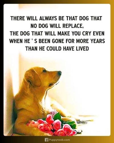 FB_IMG_1746487312422